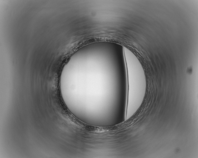 X0000091290760200708101026