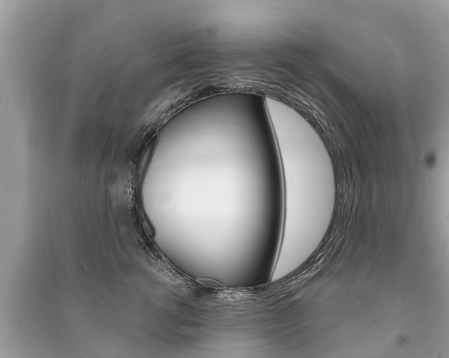 X0000091290762200708101026