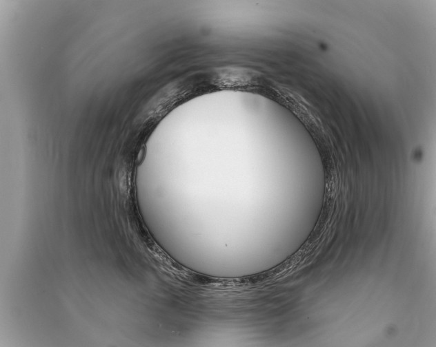 X0000091290763200708101026