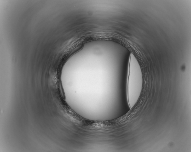 X0000091290764200708101026