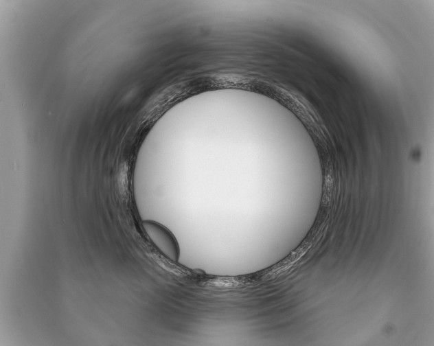 X0000091290765200708101026