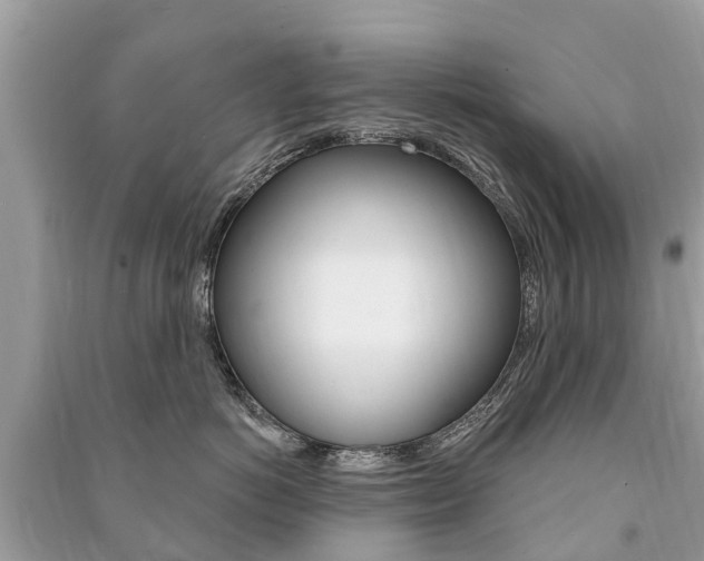 X0000091290766200708101026