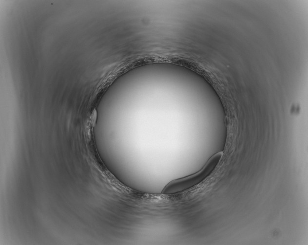 X0000091290768200708101026
