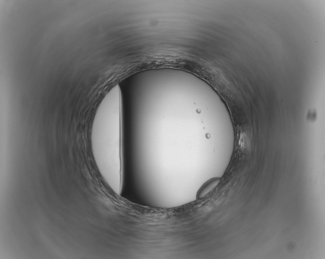 X0000091290771200708101025
