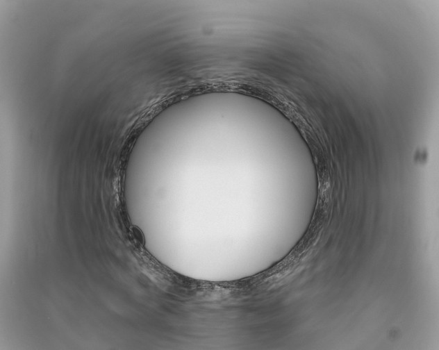 X0000091290772200708101025