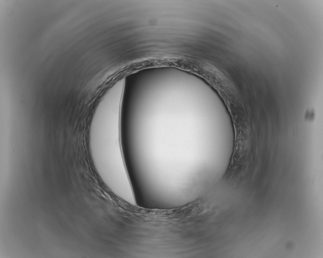 X0000091290773200708101025