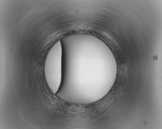 X0000091290774200708101025