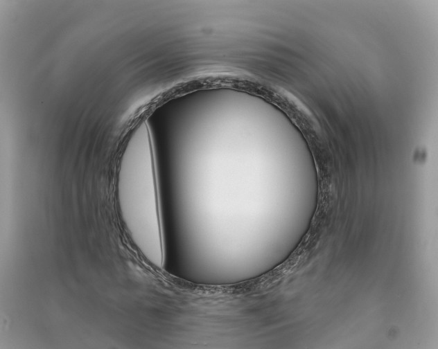 X0000091290775200708101025