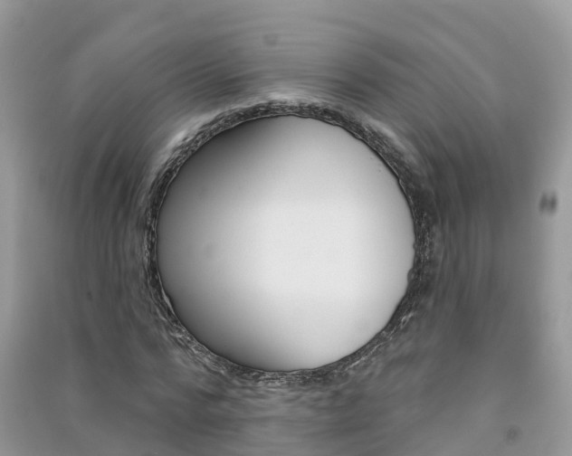 X0000091290776200708101025