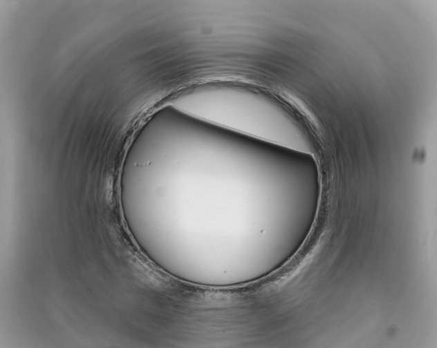 X0000091290777200708101025