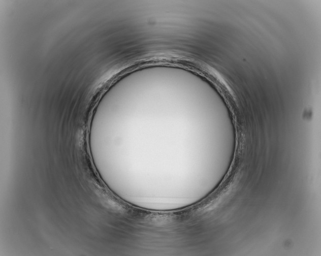 X0000091290778200708101025
