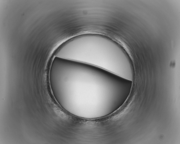X0000091290779200708101025