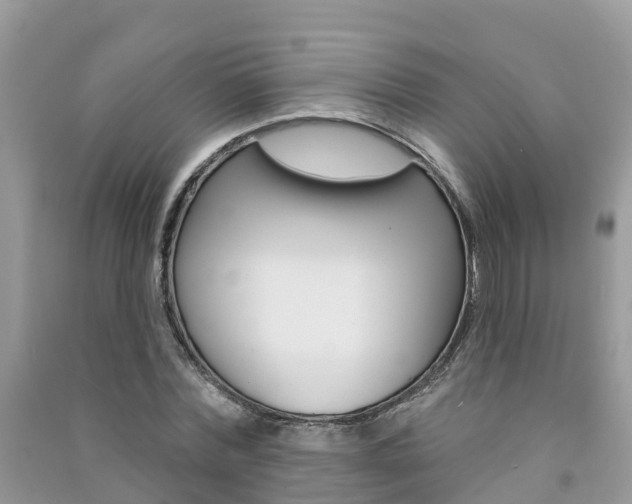 X0000091290780200708101025