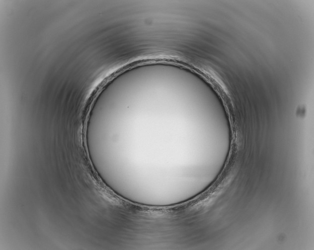 X0000091290781200708101025
