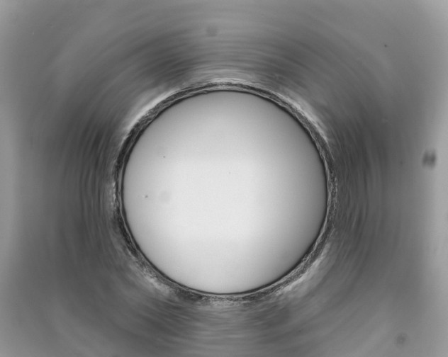 X0000091290782200708101025