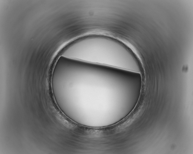 X0000091290783200708101025