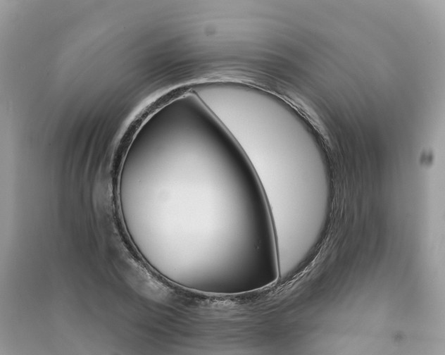 X0000091290784200708101025