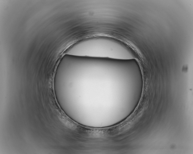 X0000091290785200708101025