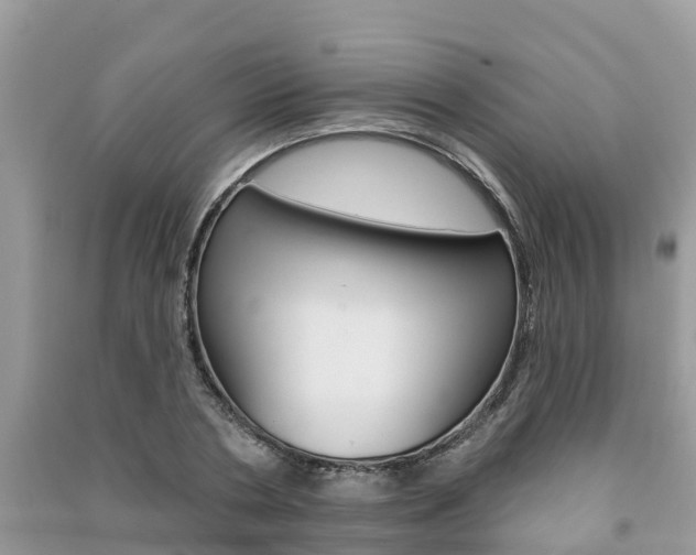 X0000091290786200708101025