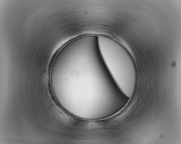 X0000091290787200708101025