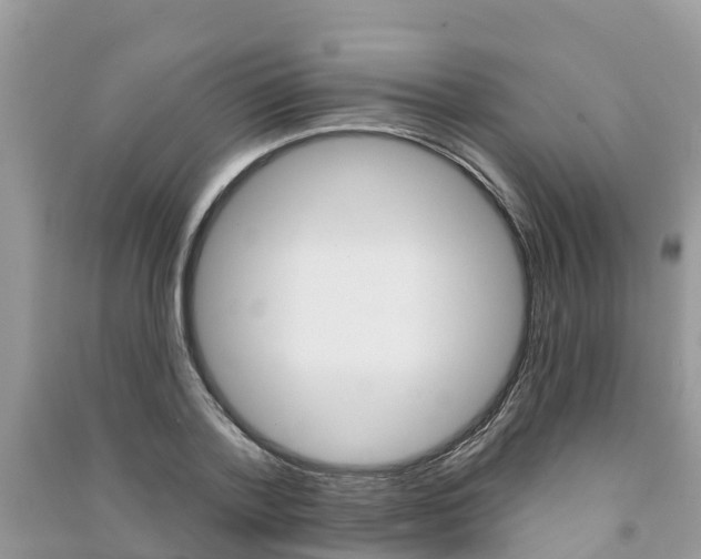 X0000091290788200708101025