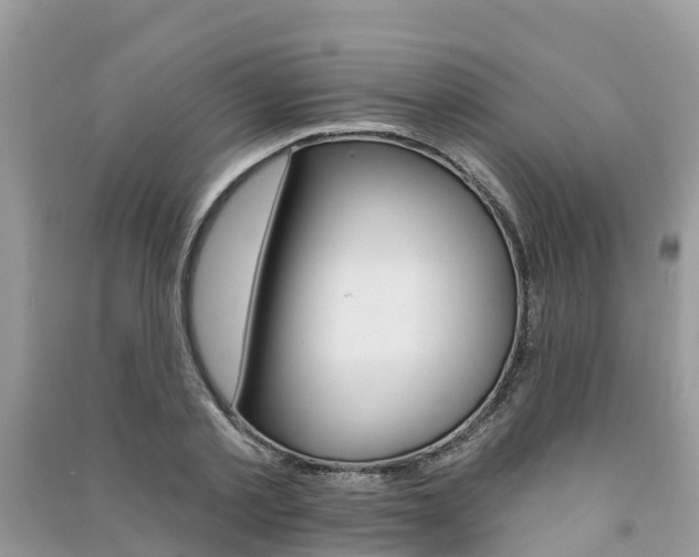X0000091290789200708101025