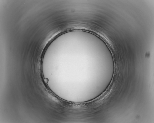 X0000091290790200708101025