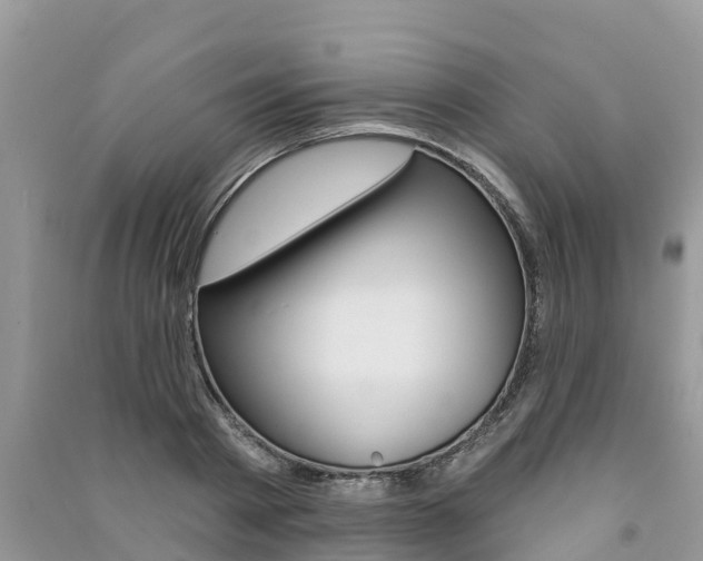 X0000091290793200708101025
