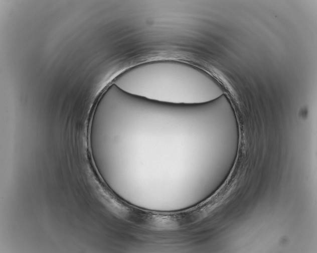 X0000091290794200708101025