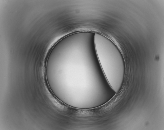 X0000091290795200708101025