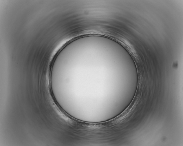 X0000091290796200708101025
