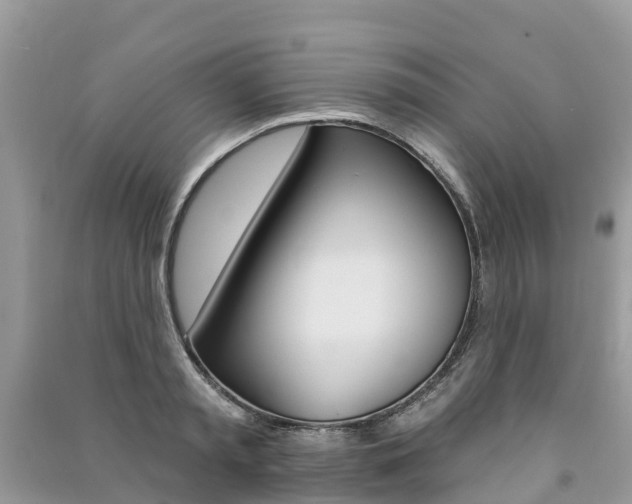 X0000091290797200708101025