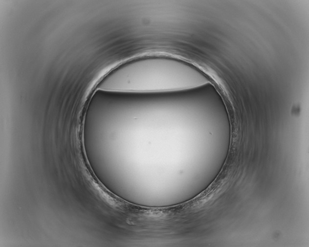 X0000091290799200708101025