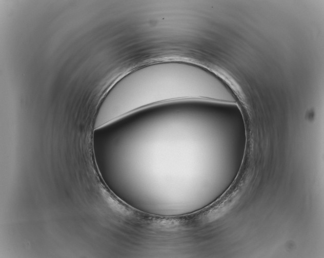X0000091290801200708101025