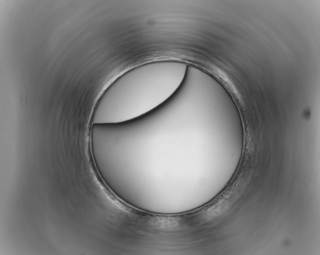 X0000091290802200708101025