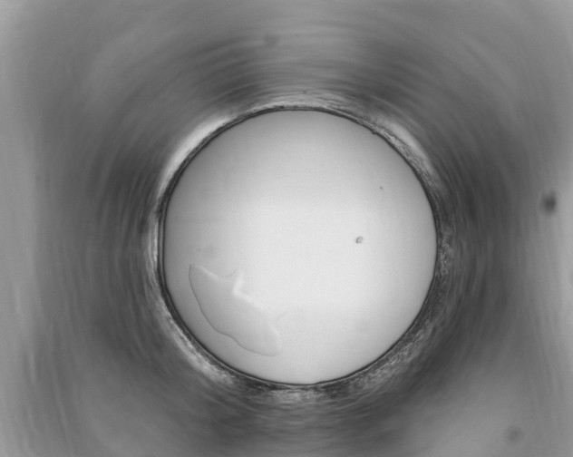 X0000091290804200708101025