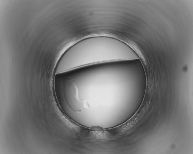 X0000091290805200708101025