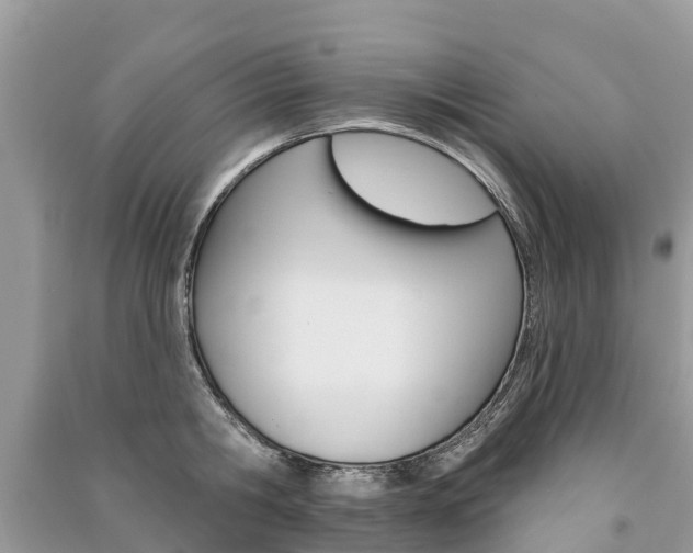 X0000091290806200708101025