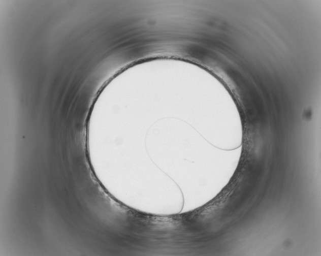 X0000091290807200708101025