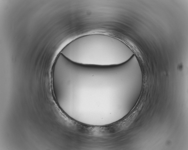 X0000091290808200708101025