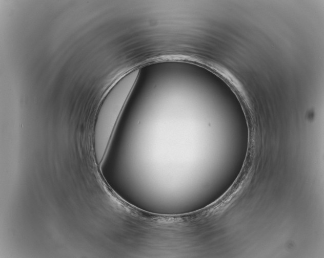 X0000091290809200708101025