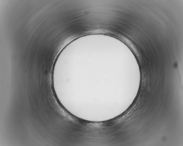 X0000091290810200708101025