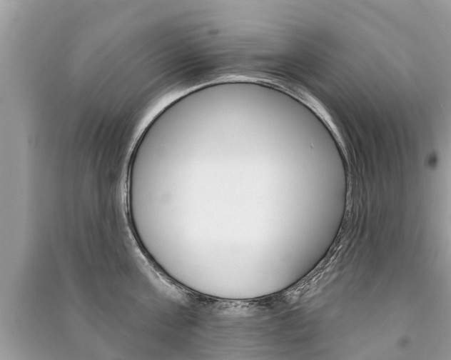 X0000091290811200708101025
