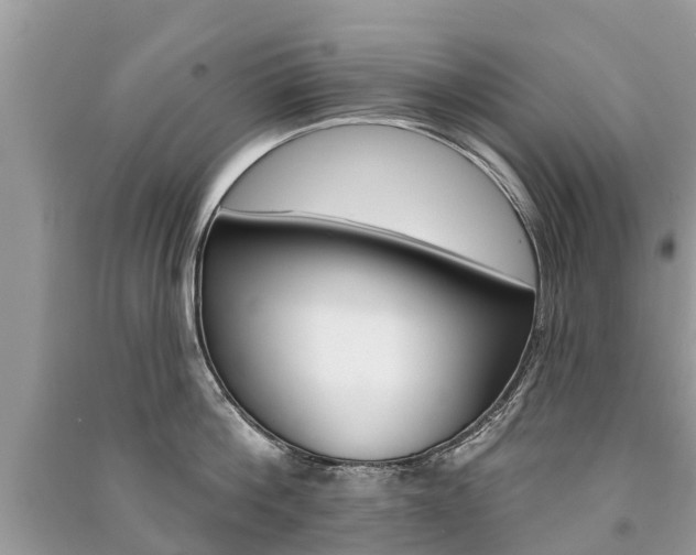 X0000091290812200708101025