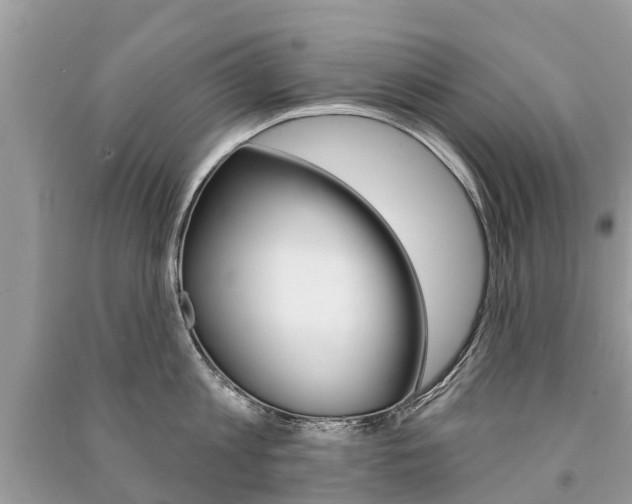 X0000091290813200708101025