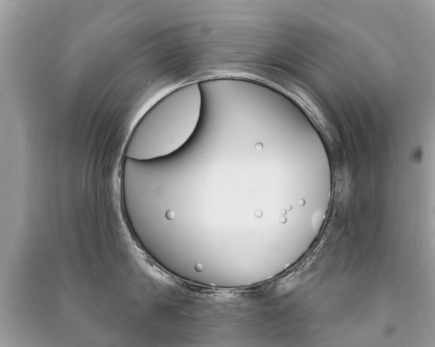 X0000091290814200708101025