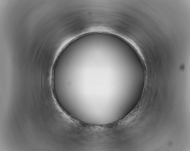 X0000091290815200708101025