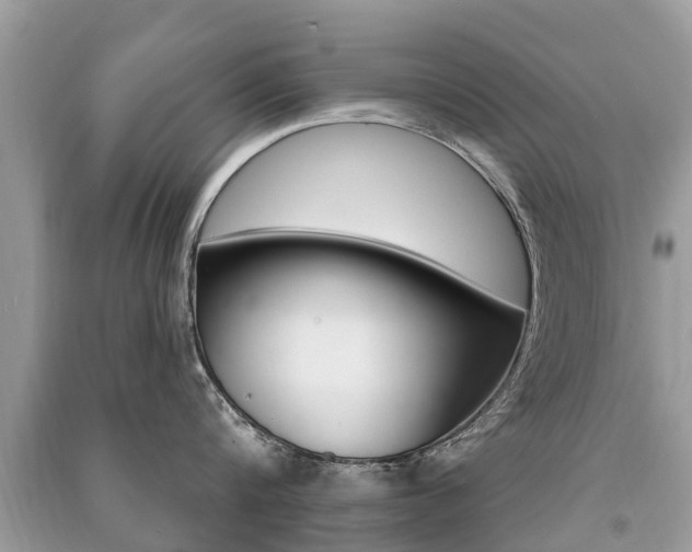 X0000091290816200708101025