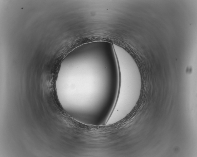 X0000091290818200708101024