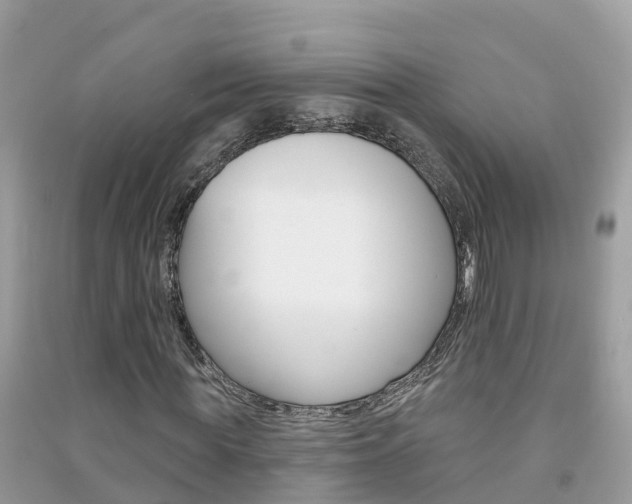 X0000091290819200708101024